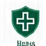 HIPAA Compliant Badge
